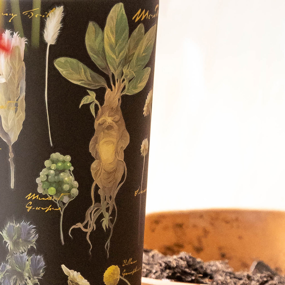 harry-potter-cold-cup-u1 Herbology-3.jpg